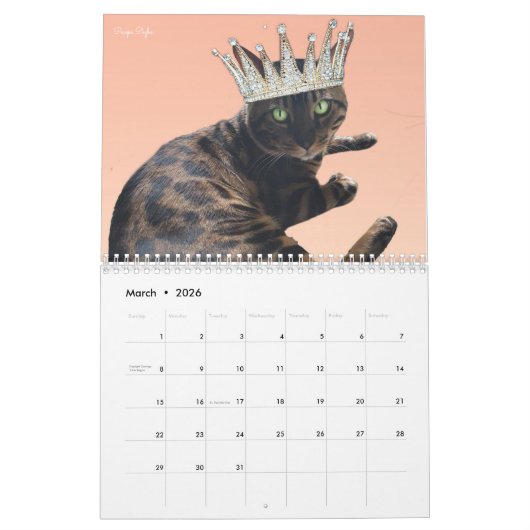 Kat kalender 2023 (Mar 2026)