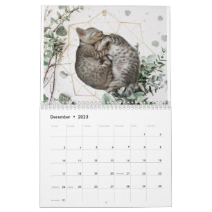 Kat kalender 2023