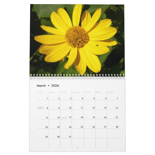 Kat kalender voor 2021 (Mar 2026)