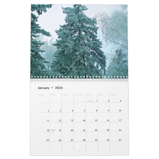 Kat kalender voor 2021 (Jan 2026)