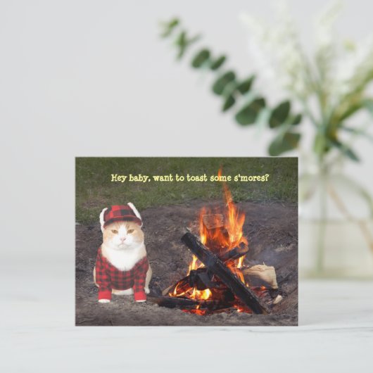 Kat kampvuur briefkaart (Staand voorkant)