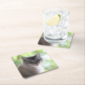 Kat Kartonnen Onderzetters (Insitu)