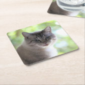 Kat Kartonnen Onderzetters (Schuin)