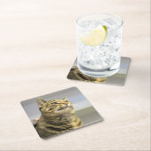 Kat Kartonnen Onderzetters (Insitu)