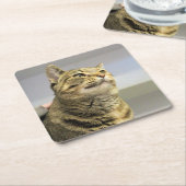 Kat Kartonnen Onderzetters (Schuin)