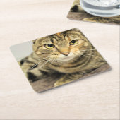 Kat Kartonnen Onderzetters (Schuin)