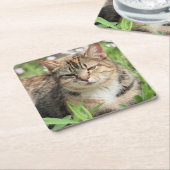 Kat Kartonnen Onderzetters (Schuin)