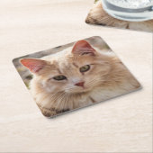 Kat Kartonnen Onderzetters (Schuin)