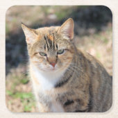 Kat Kartonnen Onderzetters (Voorkant)