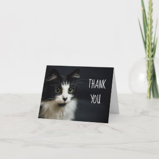 Kat, Kat, bedankt kleine notiecard