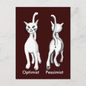 Kat kat briefkaart (Voorkant)