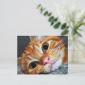 Kat Kat Briefkaart (Staand voorkant)