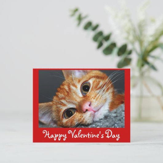 Kat Kat Feestdagenkaart (Staand voorkant)