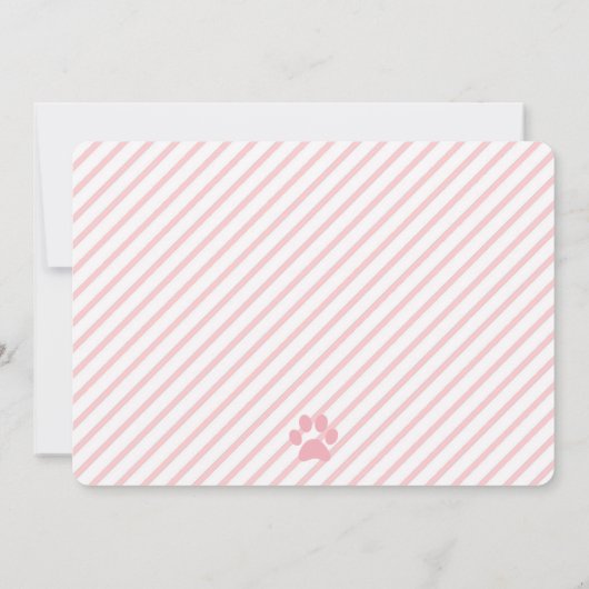  KAT kat Foto bedankt Kaart (Achterkant)