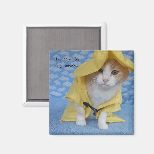 Kat/Kat in gele Slicker regenjas Magneet (Voorkant / Achterkant)