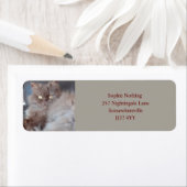 Kat Kat Kat Kat Kat Kat Etiket (Insitu)