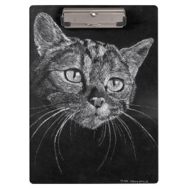 Kat Kat Kat Kat (zonder grenzen) Klembord