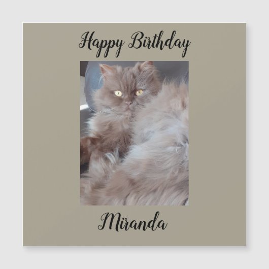 Kat Kat Magnetic Birthday Card (Voorkant)