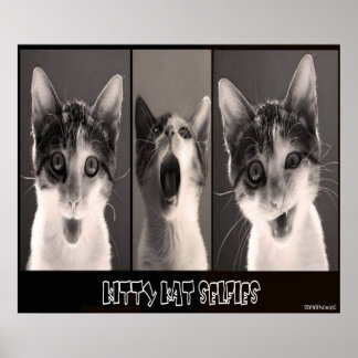 Kat Kat Selfies Poster