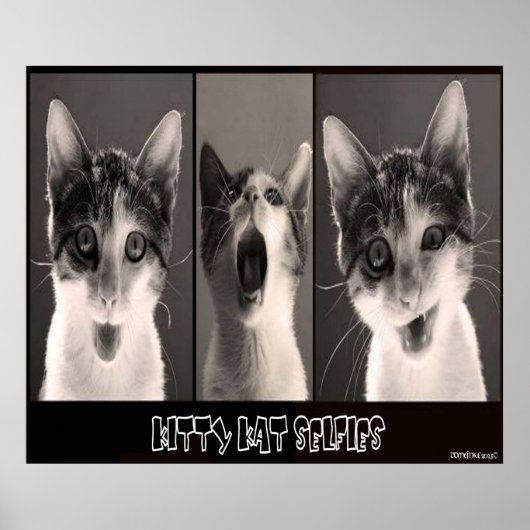 Kat Kat Selfies Poster (Voorkant)