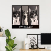 Kat Kat Selfies Poster (Thuiskantoor)