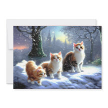 Kat, katten op sneeuw kerstkaart