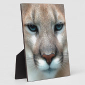 Kat Katten wilde streepprint doe-het-zelf jubilea Fotoplaat (Zijkant)