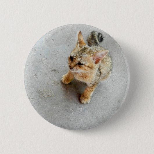 Kat-kattenkattenkatje Ronde Button 5,7 Cm (Voorkant)