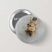 Kat-kattenkattenkatje Ronde Button 5,7 Cm (Voorkant /achterkant)