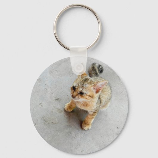 Kat-kattenkattenkatje Sleutelhanger (Voorkant)
