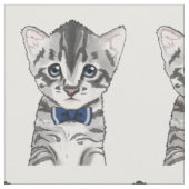Kat-kattenkattenkeuken met boeg stof (Close Up)