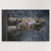 Kat-kattenportret, 1014 stuks legpuzzel (Horizontaal)