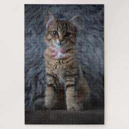 Kat-kattenportret, 1014 stuks legpuzzel