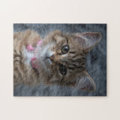 Kat-kattenportret, 252 stukken puzzel (Horizontaal)