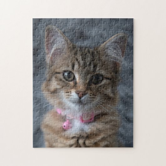 Kat-kattenportret, 252 stukken puzzel (Verticaal)