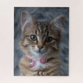 Kat-kattenportret, 520 stuks legpuzzel