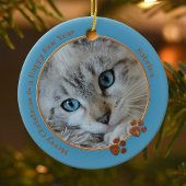 Kat Keepasblauw kerstfoto Ornament