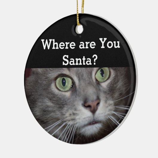 Kat Keramisch Ornament (Links)