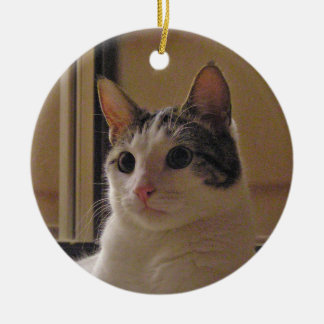Kat Keramisch Ornament