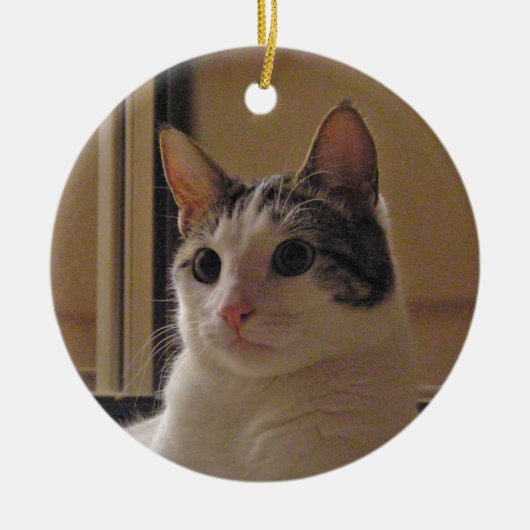 Kat Keramisch Ornament (Voorkant)