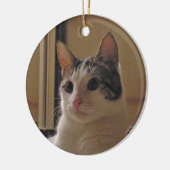 Kat Keramisch Ornament (Links)