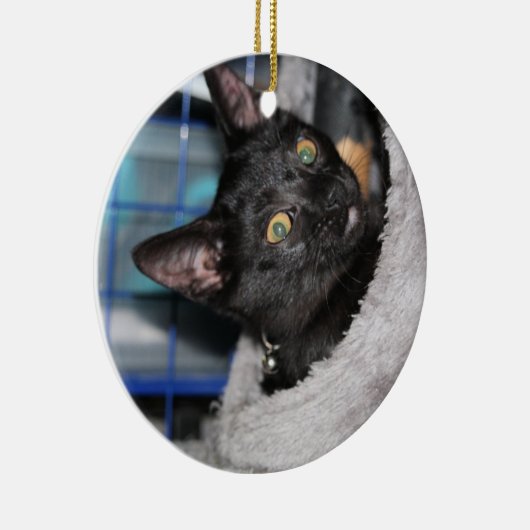 Kat Keramisch Ornament (Rechts)