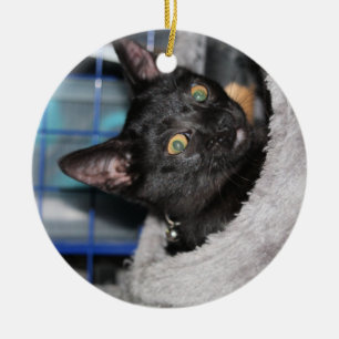 Kat Keramisch Ornament