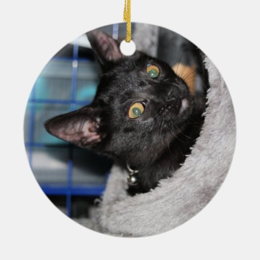 Kat Keramisch Ornament (Achterkant)