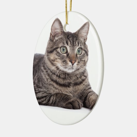 Kat Keramisch Ornament (Links)