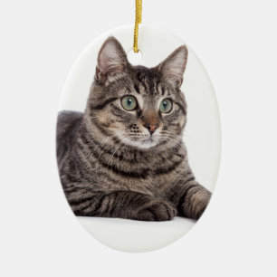 Kat Keramisch Ornament