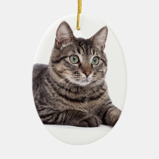 Kat Keramisch Ornament (Voorkant)