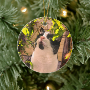 Kat Keramisch Ornament