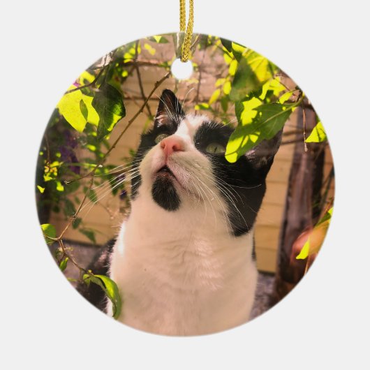 Kat Keramisch Ornament (Voorkant)