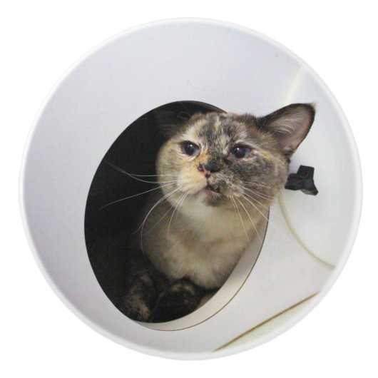 Kat Keramische Knop (Voorkant)